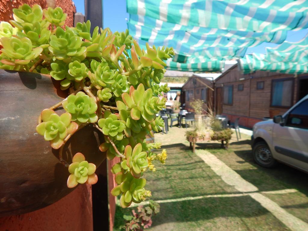 كفايات Hostal Del Suri المظهر الخارجي الصورة